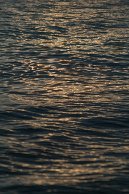 a body of water with sun reflecting off the water