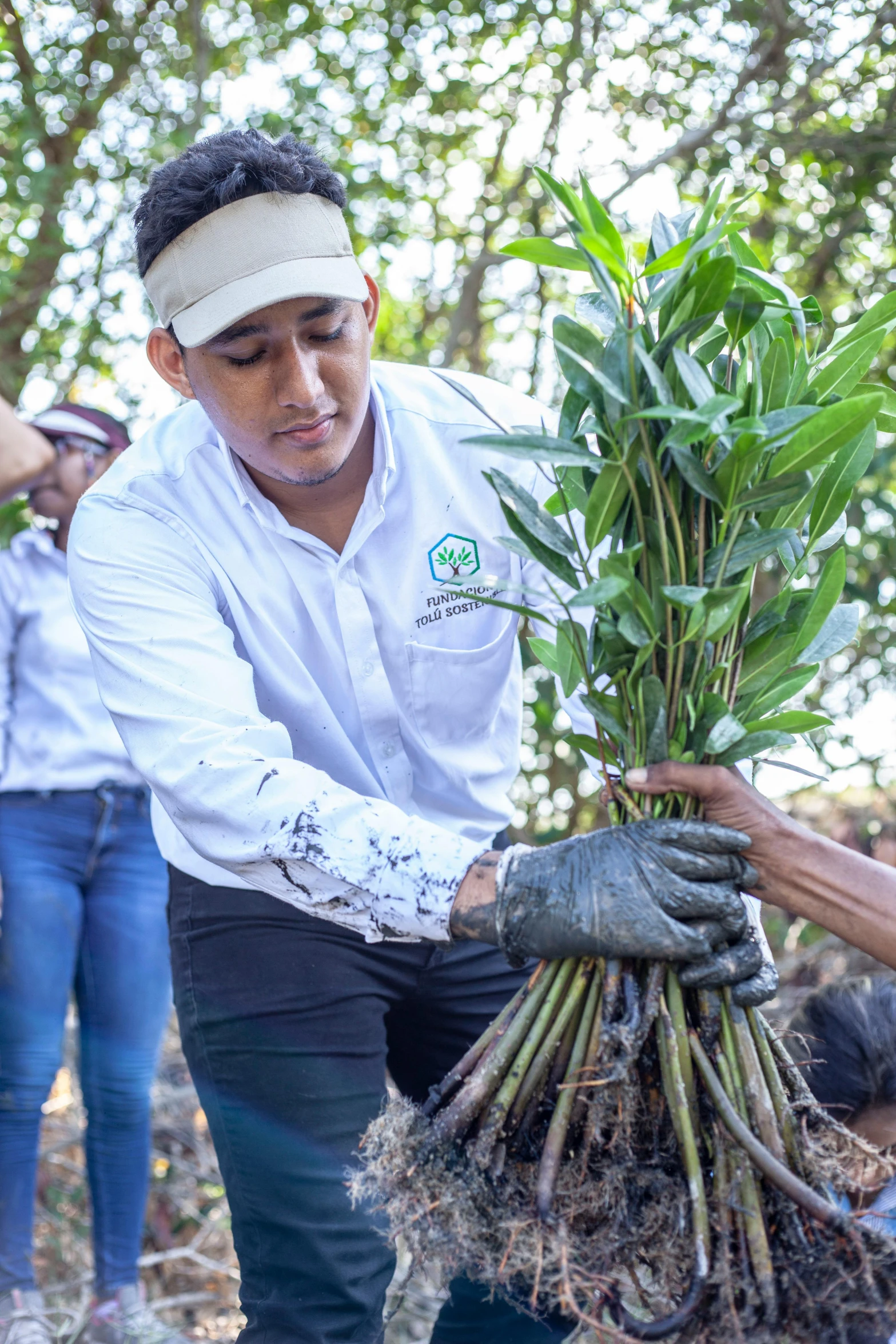 people in the forest are planting some trees