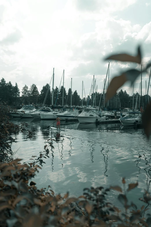 the boats are docked at the dock with many leaves