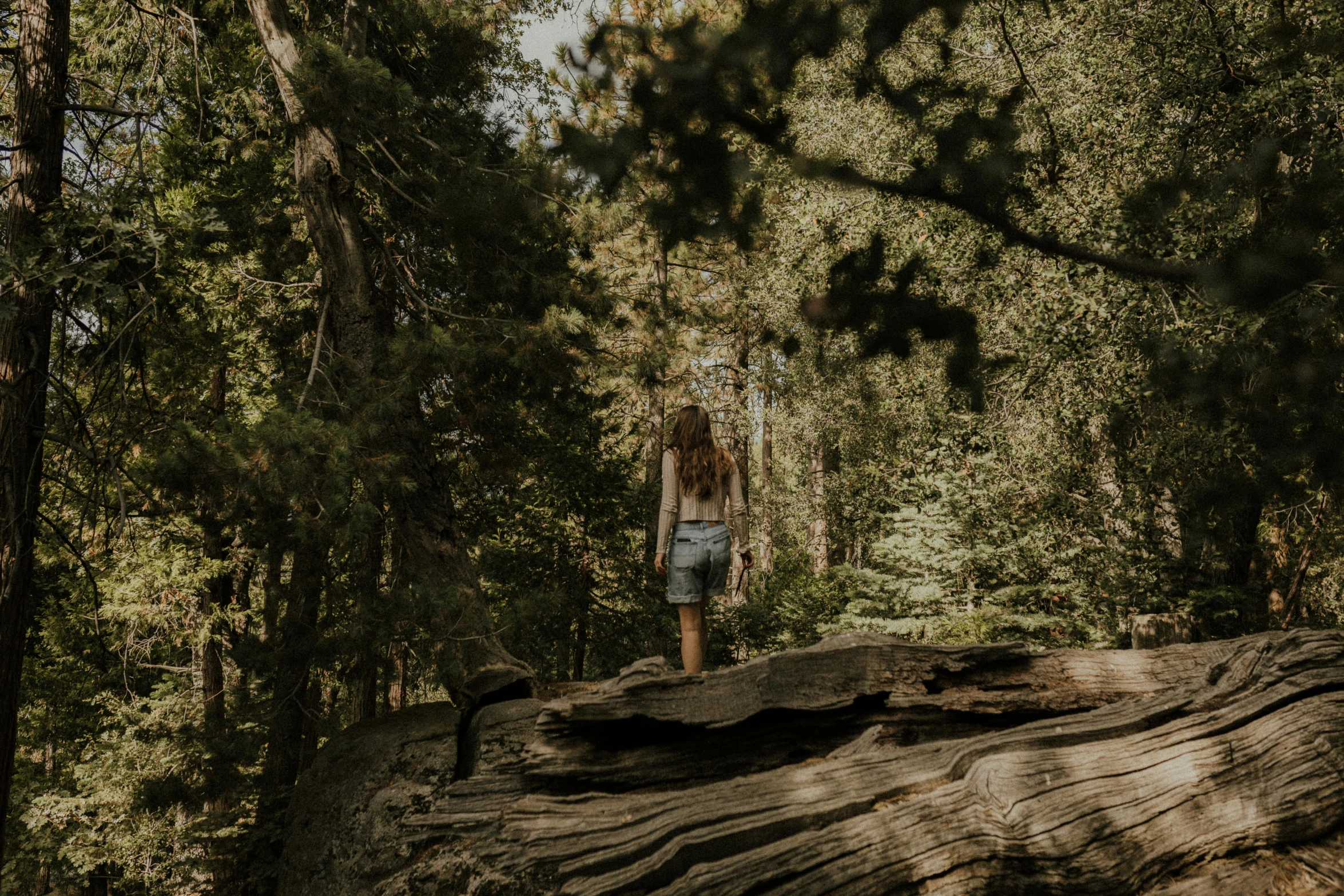 there is a woman standing on the cliff in the woods