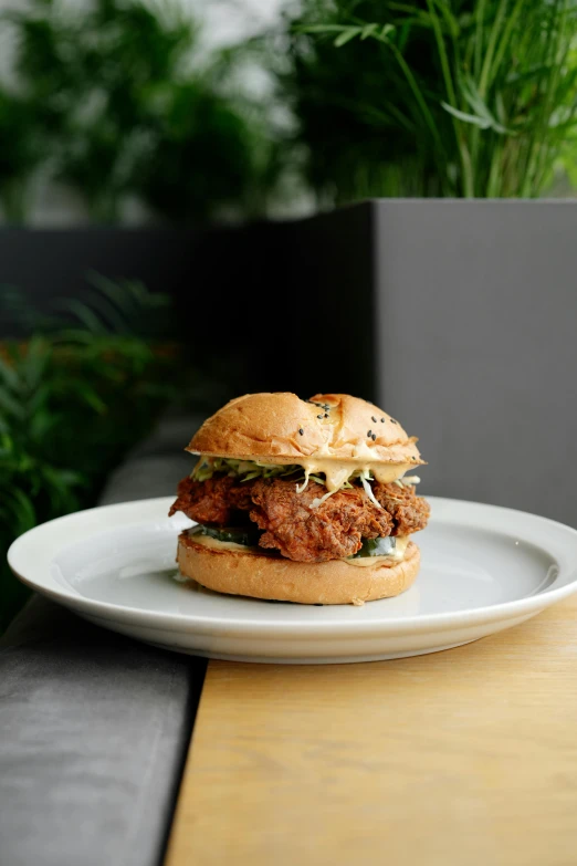 fried chicken sandwich on bun with salad on plate