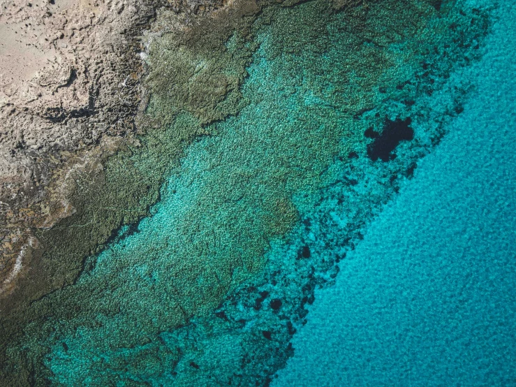 the view from a plane looking down at some green water