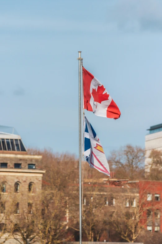 three canadian and british flags flying side by side in front of buildings