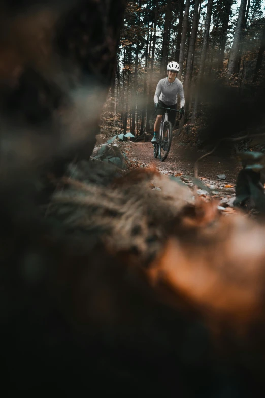 a man riding a bike down a forest