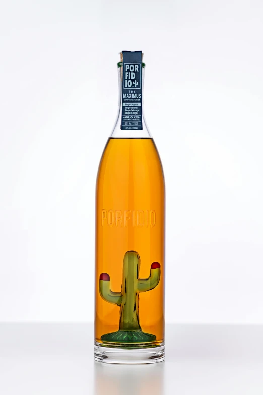 an empty wine bottle that has a cactus in it