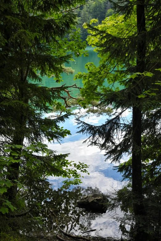 the water and trees are still in the middle of the lake