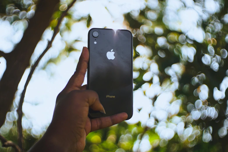 a person holds up an iphone that is in front of some trees