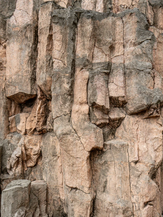 the rock wall is covered in ligning and other moss