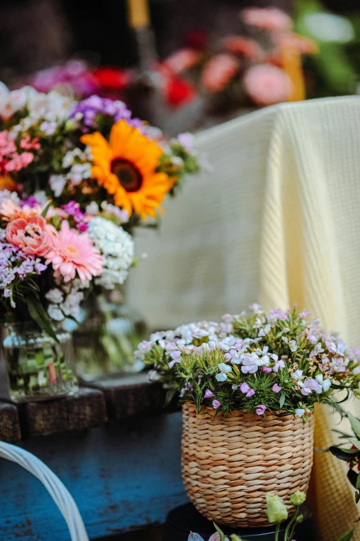 a variety of flowers sitting next to each other