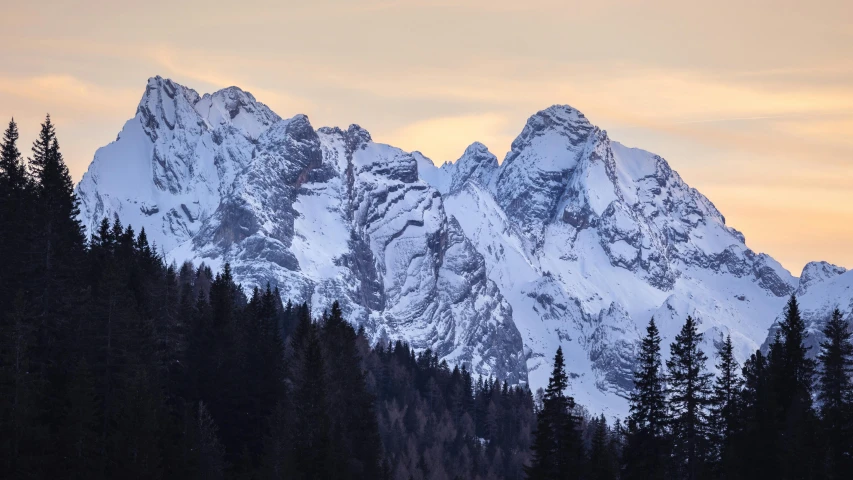 mountains and fir trees with the sky in the background