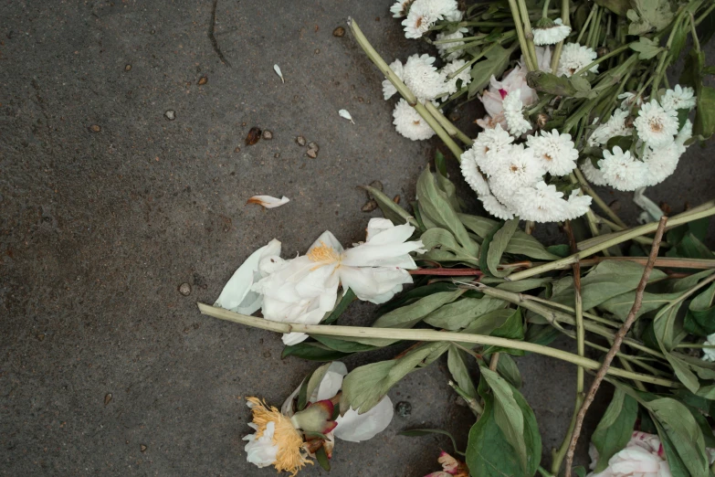 flower and leaf litter sitting outside by the road