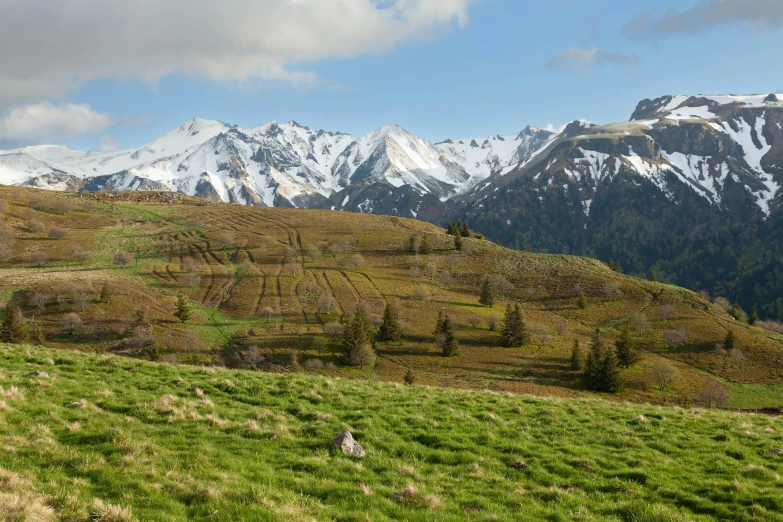 a mountain range with several trees and a person in the foreground