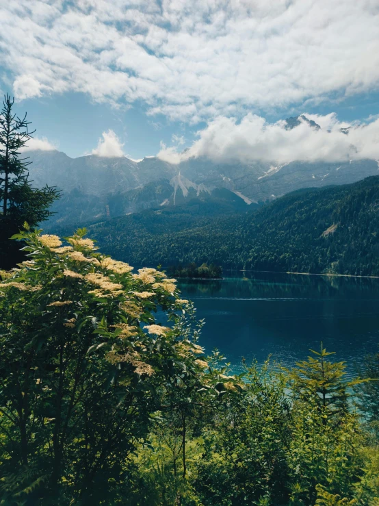 a body of water surrounded by mountains and green trees