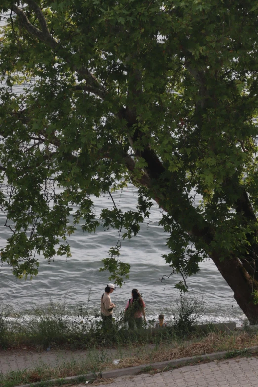 two people sitting on the curb next to trees and a body of water