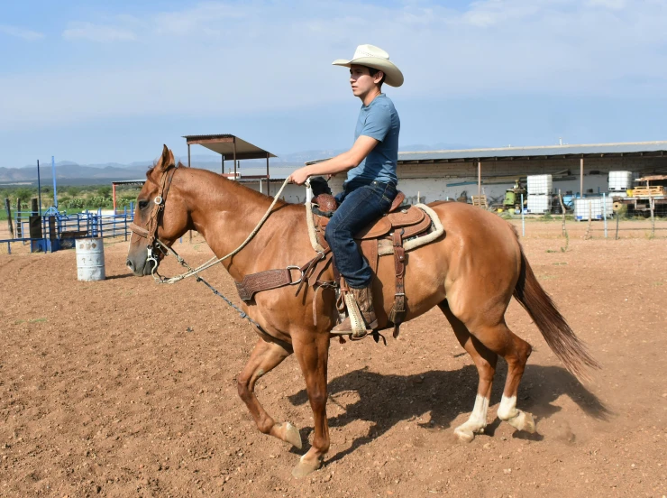 a man riding on the back of a brown horse