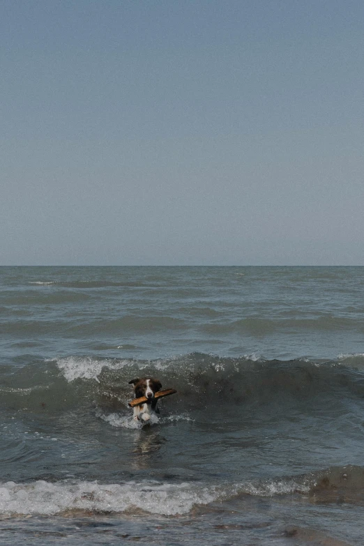 two men are surfing in the ocean on their surfboards