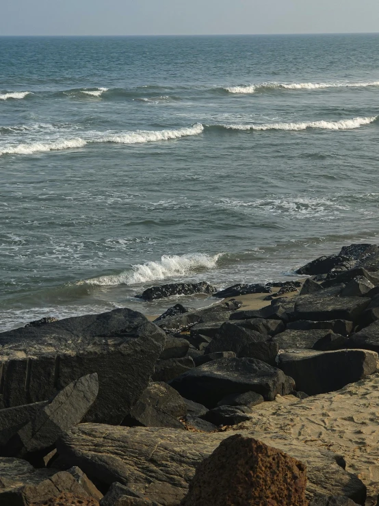 a small dog on rocks with the ocean in the background