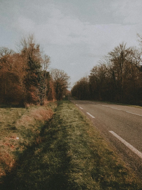 a small road near some trees on an overcast day