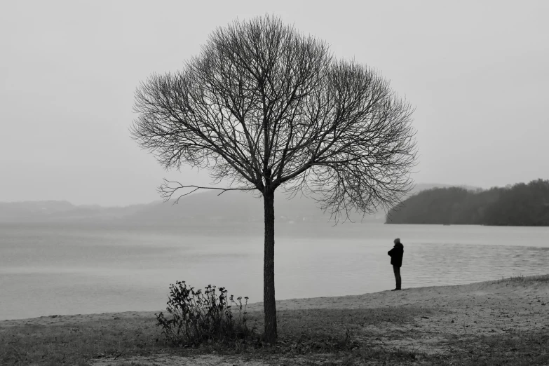 there is a man standing next to a tree at the beach