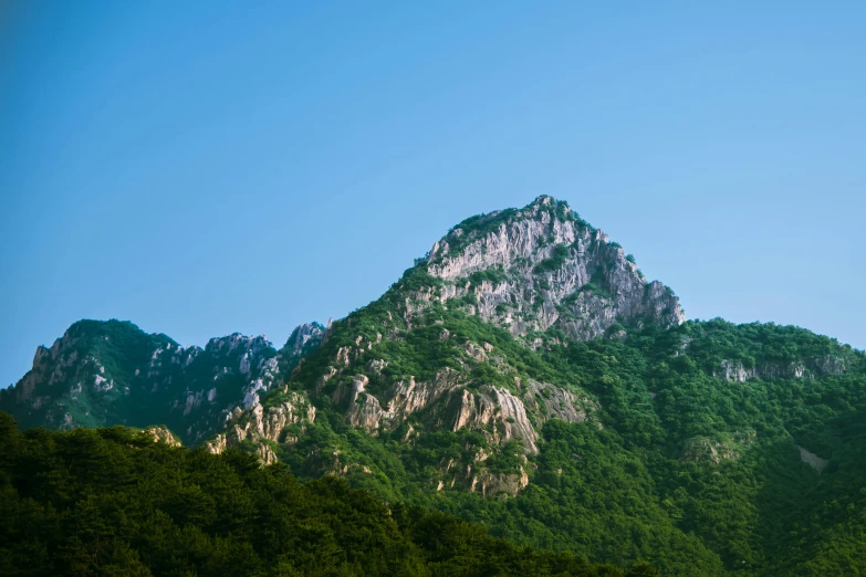 the top of a mountain that has trees and bushes below