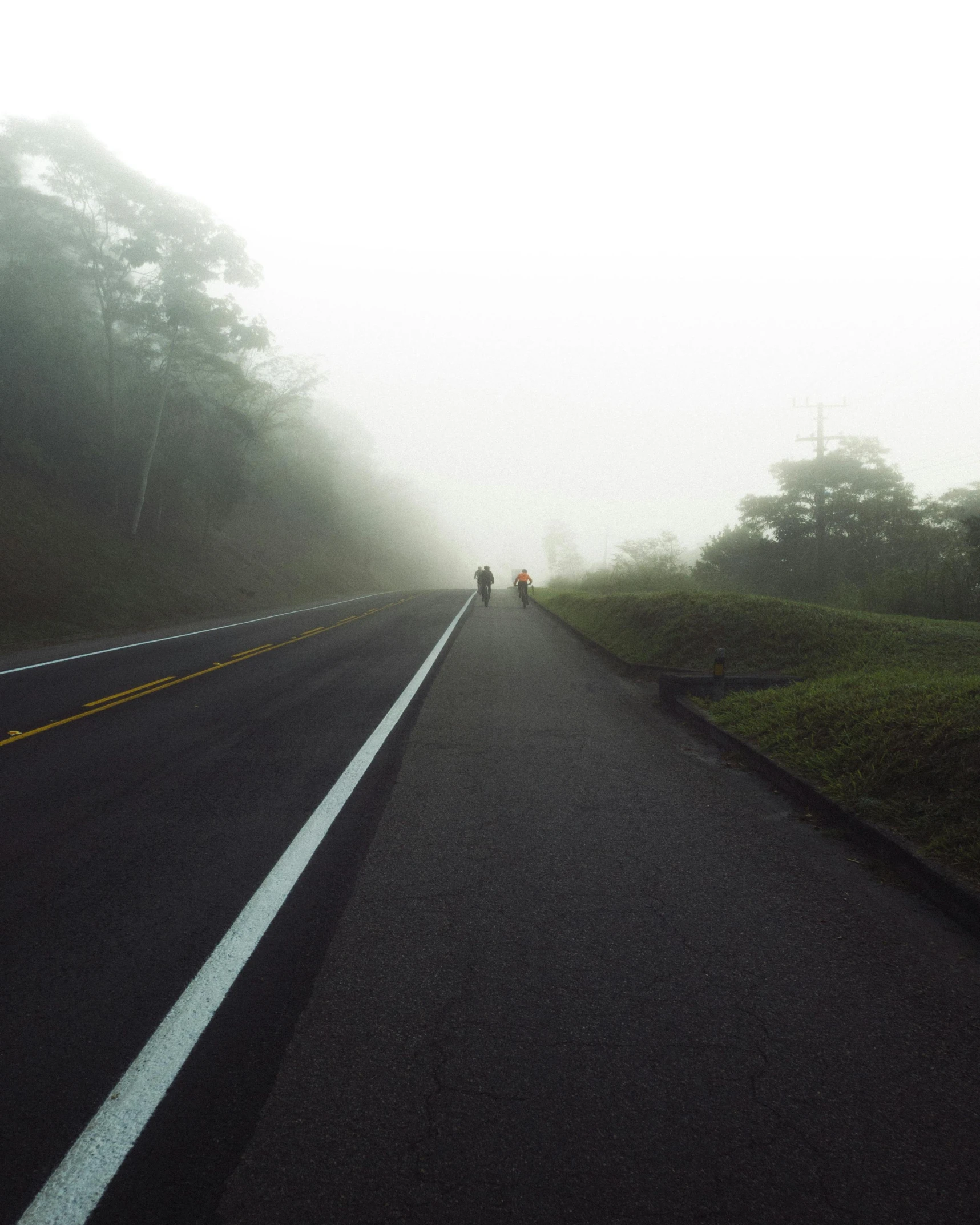 people walking on the road during a foggy day