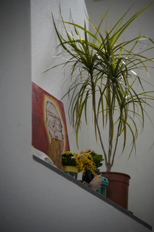 a houseplant sits on a ledge in front of a clock