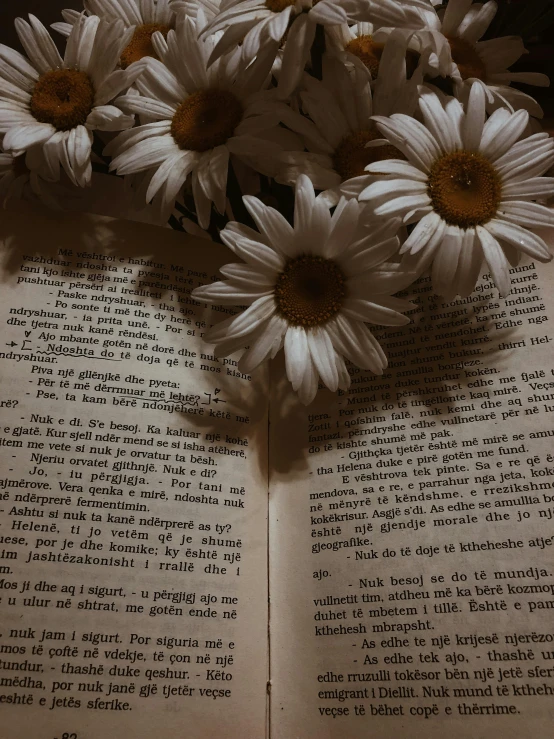 white flowers are in a vase on an open book