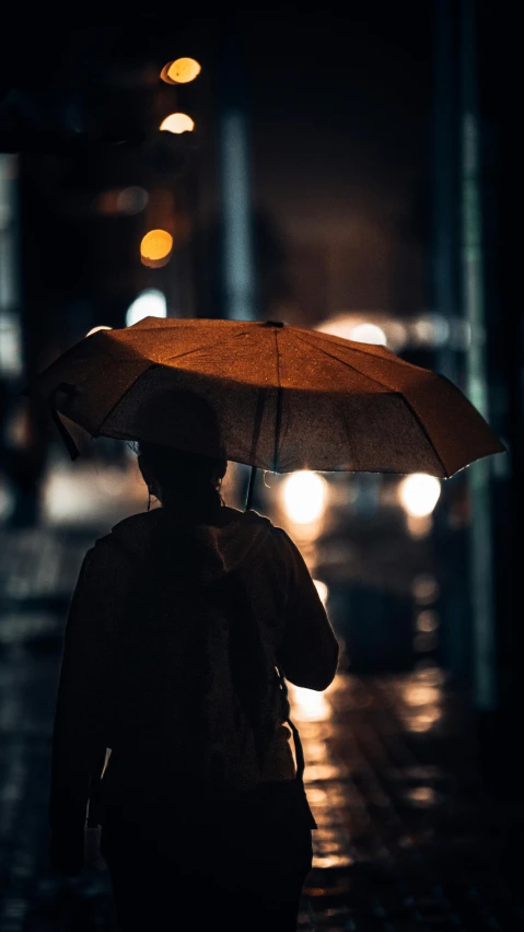 the person is holding a very cute umbrella