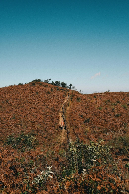 a person walking on a path going up a hill