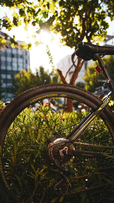 a bike that is sitting in some grass