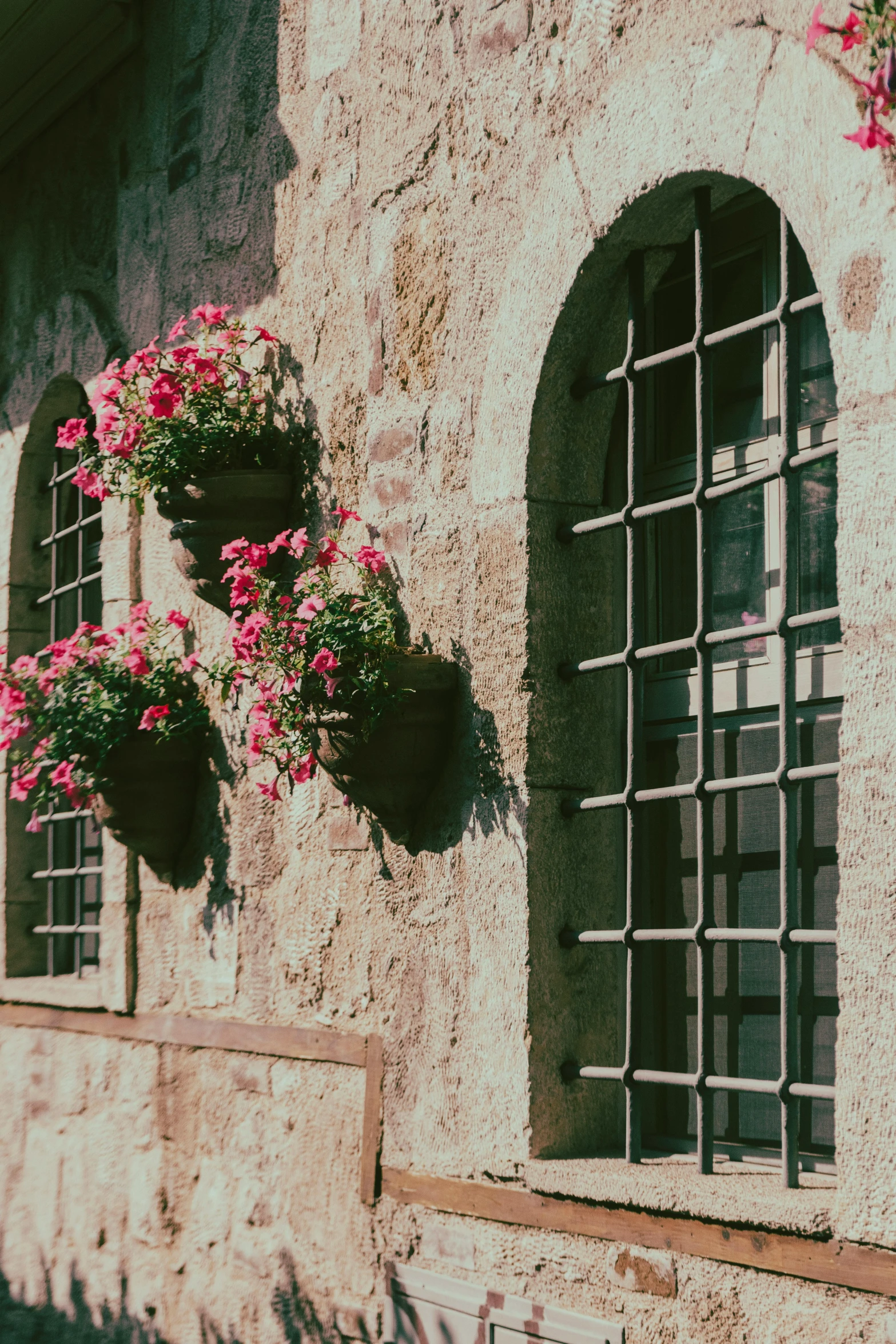three windows and potted flowers with bars on them
