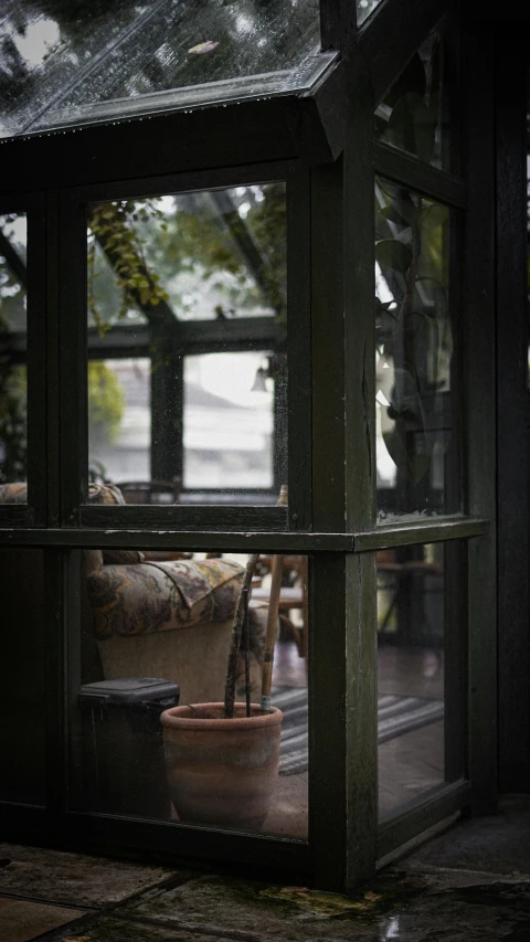 an outdoor patio with a plant in a planter