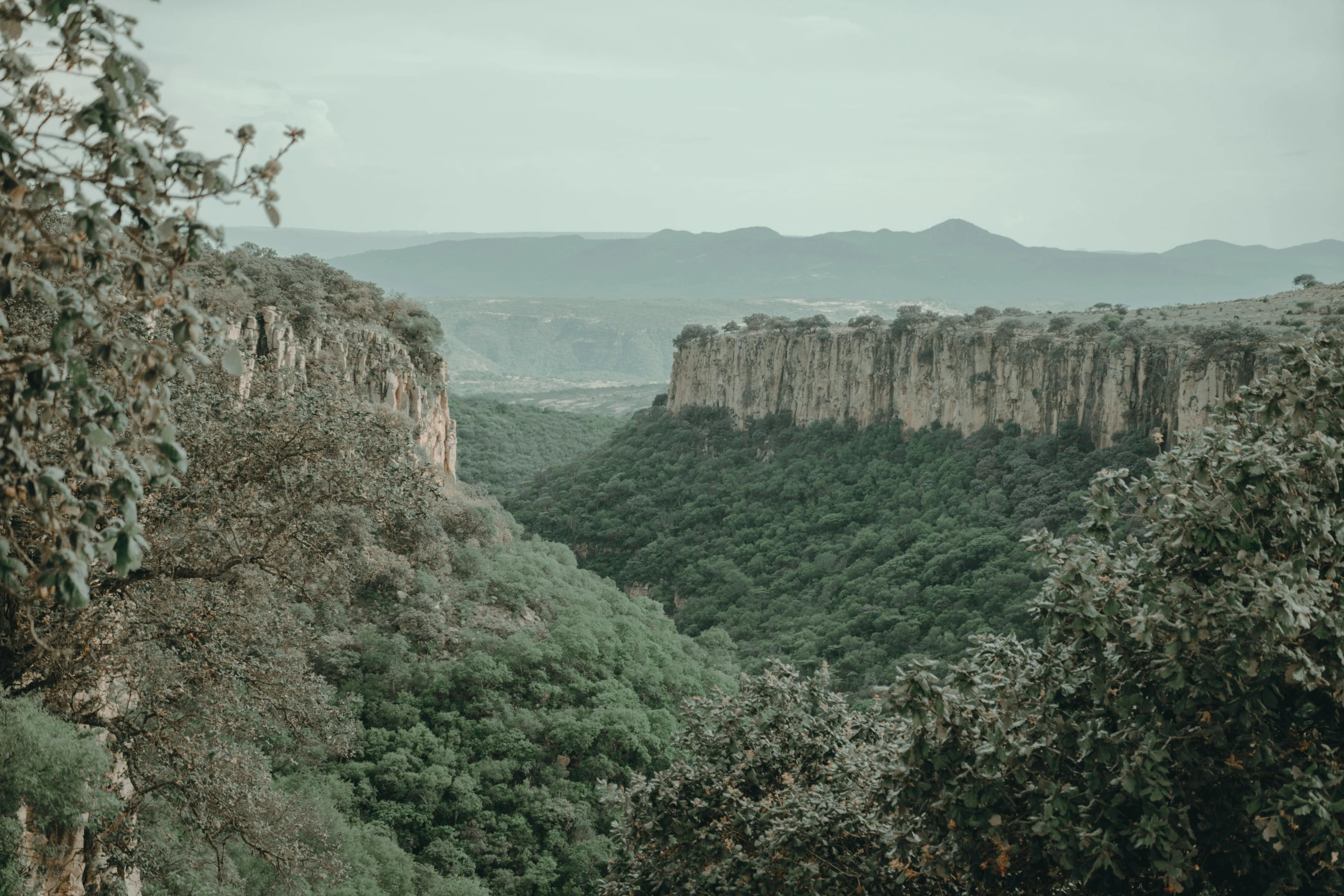 trees and shrubs grow in the foreground, as a hazy sky stretches over mountains