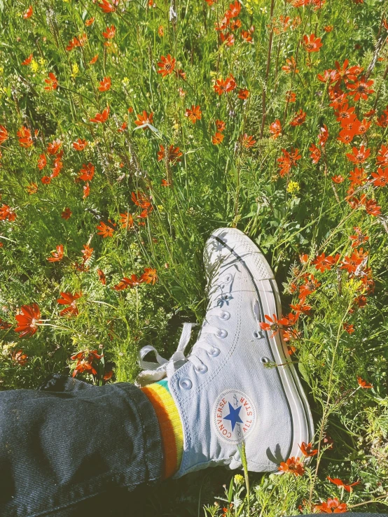 person's sneakers sitting in the middle of a field of flowers