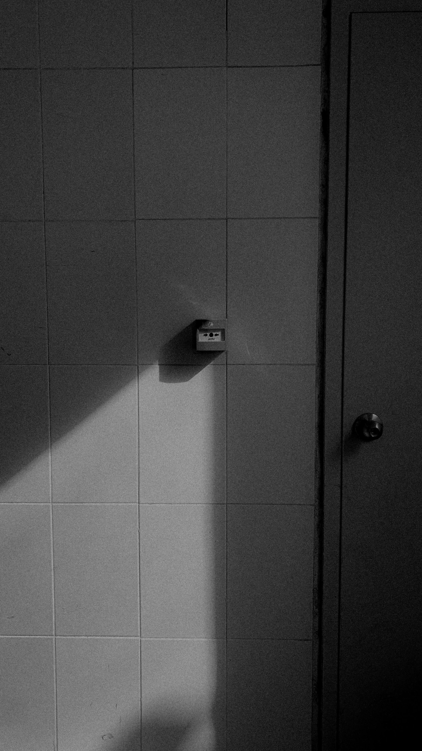 black and white pograph of a door in the bathroom
