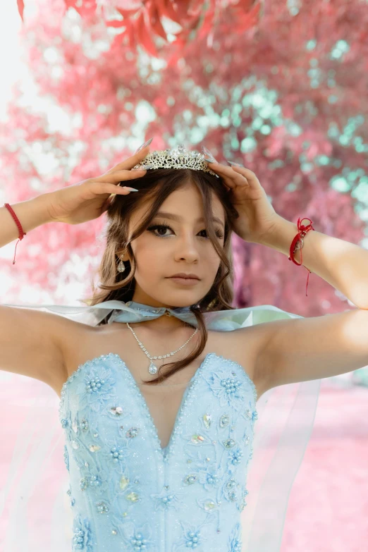 a woman with a tiara and an elegant dress