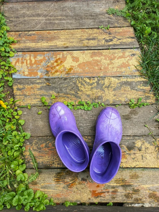 a pair of purple shoes is on the ground