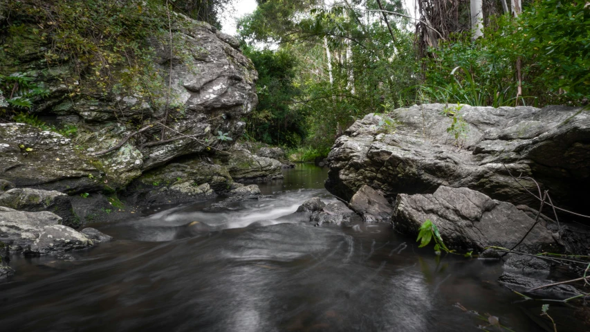 a small stream in the woods near some rocks