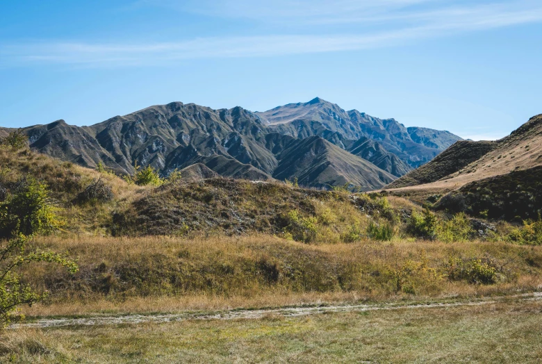 some grass bushes and a mountain range