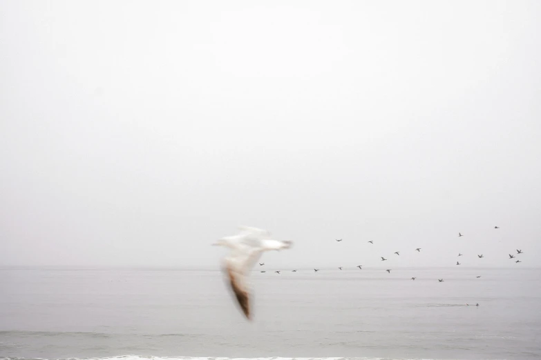 sea gulls flying over the ocean under a cloudy sky