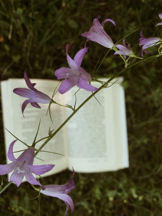 a book with flowers near it sitting on a table