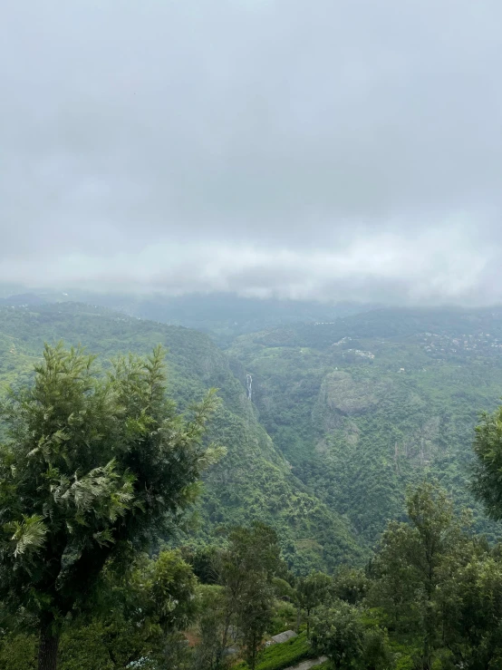 a hill with trees and hills covered in mist