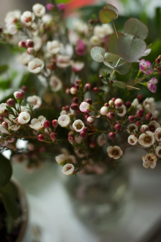 small white flowers in a glass vase on a table