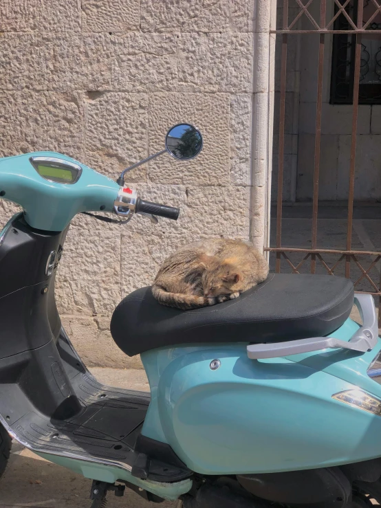 a blue motorcycle with an orange cat lying on the seat