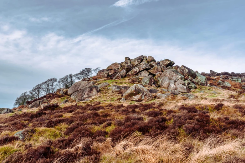 a large grassy and rocky hillside with rocks