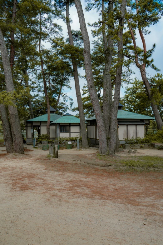 the shelter in the middle of the forest is empty