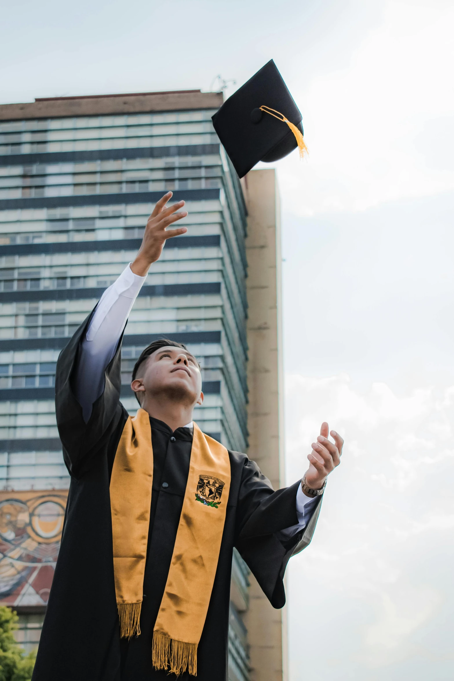 a young man in graduation regalis raises his hat in the air