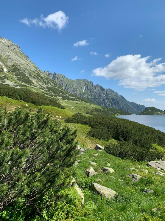 an image of green hills near the water