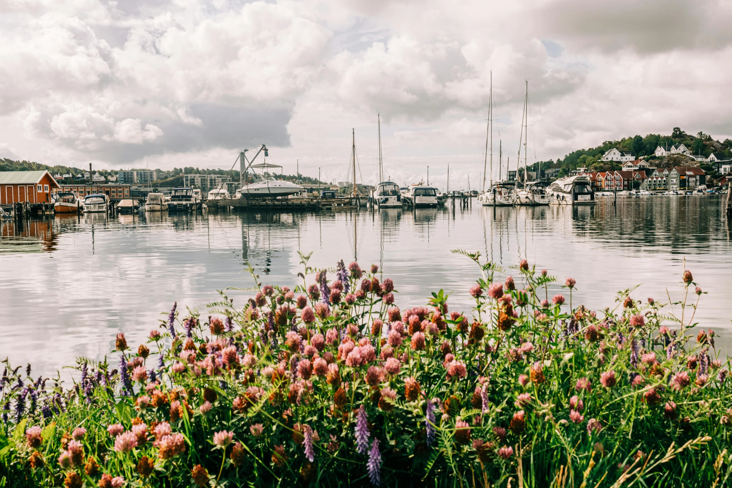 the water with boats in it and flowers growing