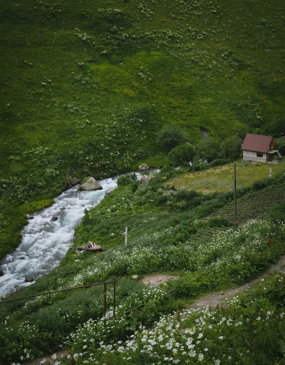 a stream flowing down a lush green hillside